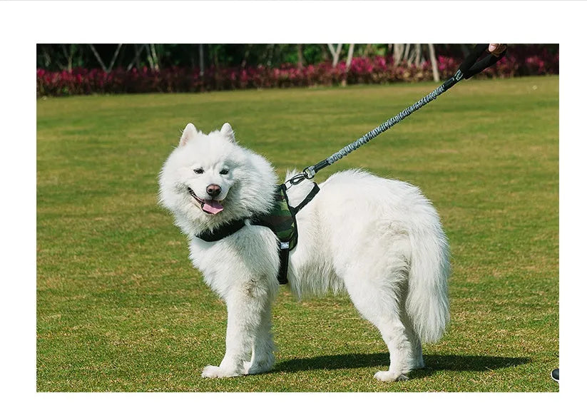 Gray nylon dog leash with chest strap for large medium small dogs, 75cm to 150cm stretchable