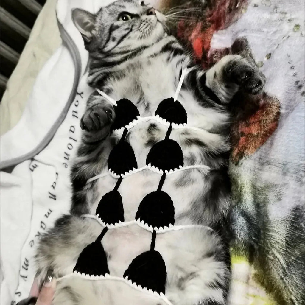 Colour options for sweet style cat bikini costume including black, green, pink, red, and rose red