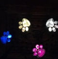 Black solar-powered bear paw print garden lights with four paw shapes and solar panel