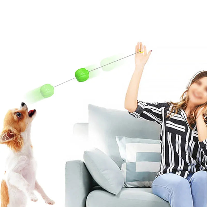 Small orange plastic pumpkin dog ball with squeaker for puppy chewing and training