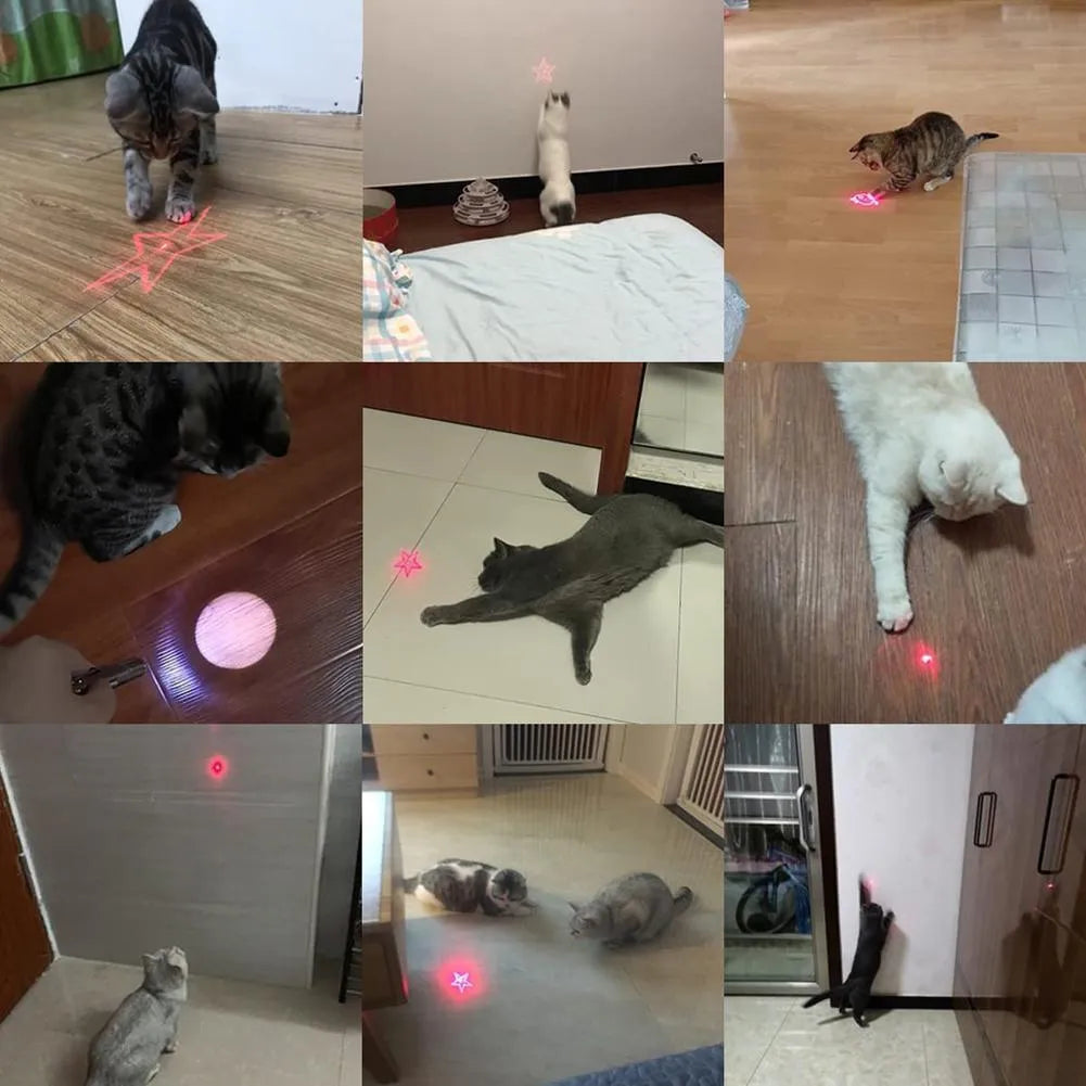USB rechargeable infrared cat teaser toy with keychain attachment in black or pink colours