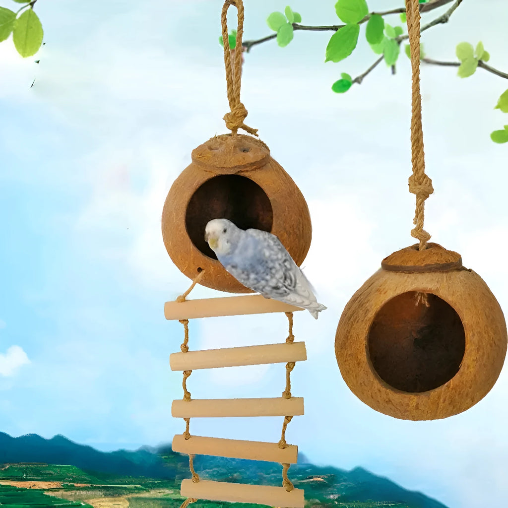 Natural coconut shell bird nest with ladder, scale texture, 11cm diameter, for parrots and hamsters