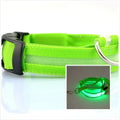 Dog LED luminous collar in blue, green, orange, pink, red or yellow, sizes XS to XL, battery or rechargeable.