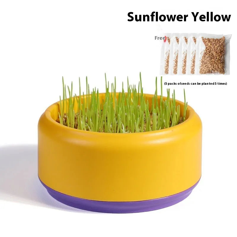 Blue hydroponic cat grass kit with planter cup and seed packets for indoor growing