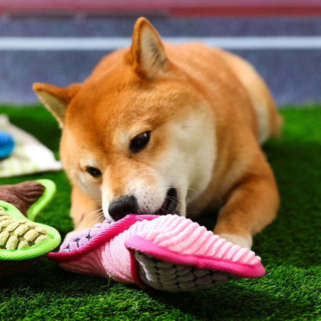 Blue teddy dog chew toy with sound bone, showing soft corn fleece lining and bite-resistant fabric.