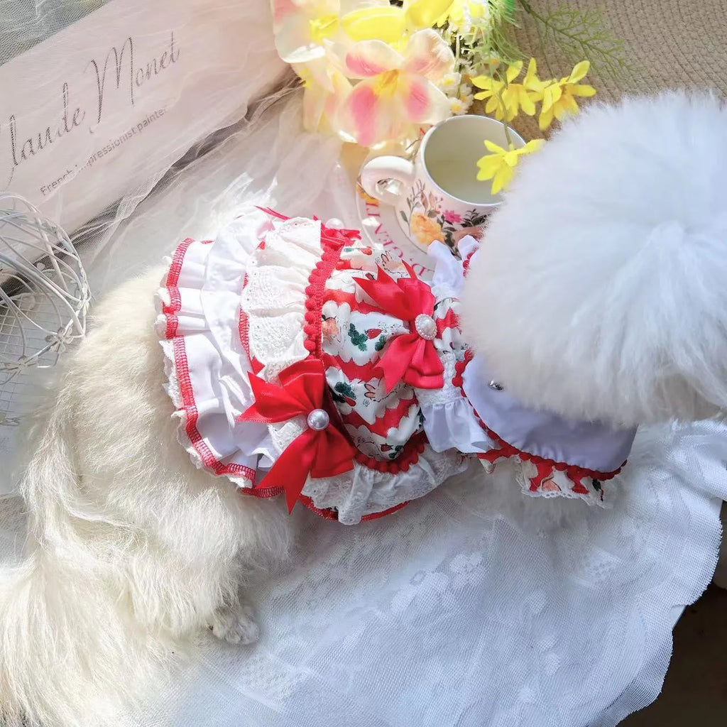 Small white dog wearing a pink rabbit-themed princess skirt with layered fabric.