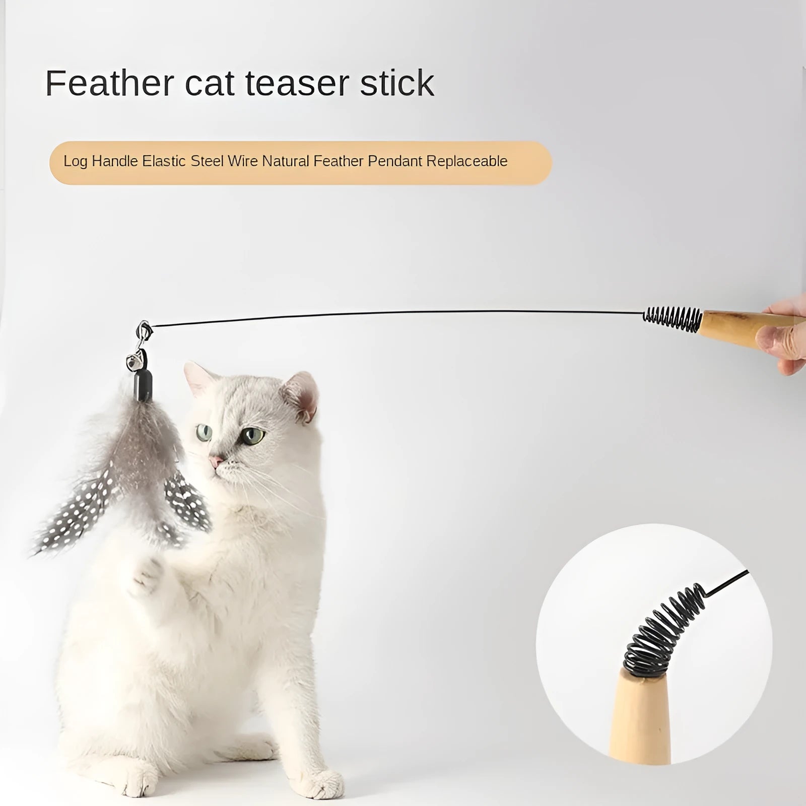 Close-up of a feather and bell replacement head for a spring cat teasing stick toy.
