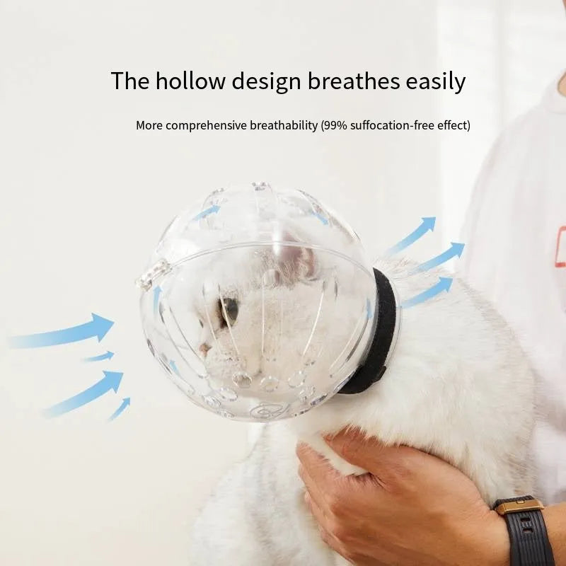 Transparent cat muzzle hood with adjustable velcro strap for veterinary and grooming use