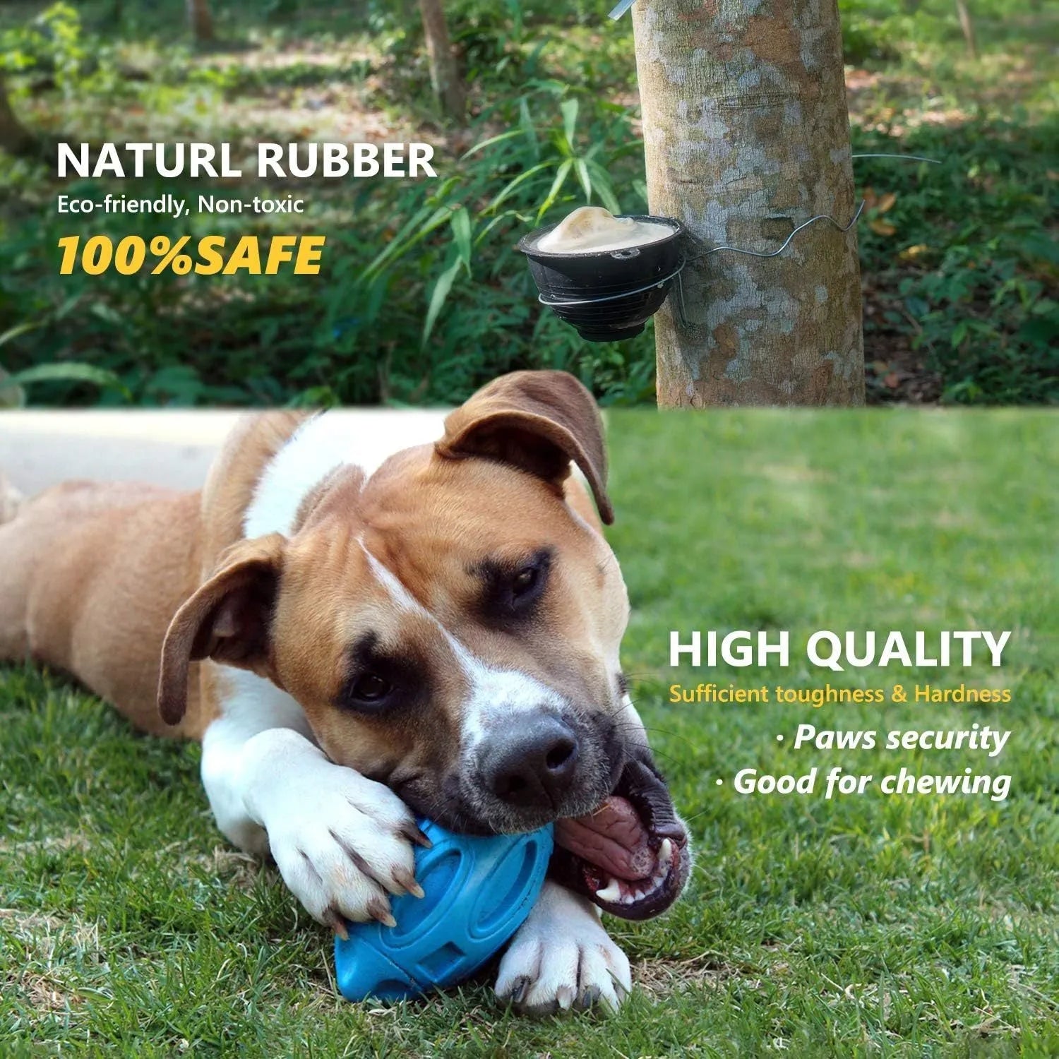 Blue, green, and orange natural rubber squeaky dog chew ball with surface grooves.
