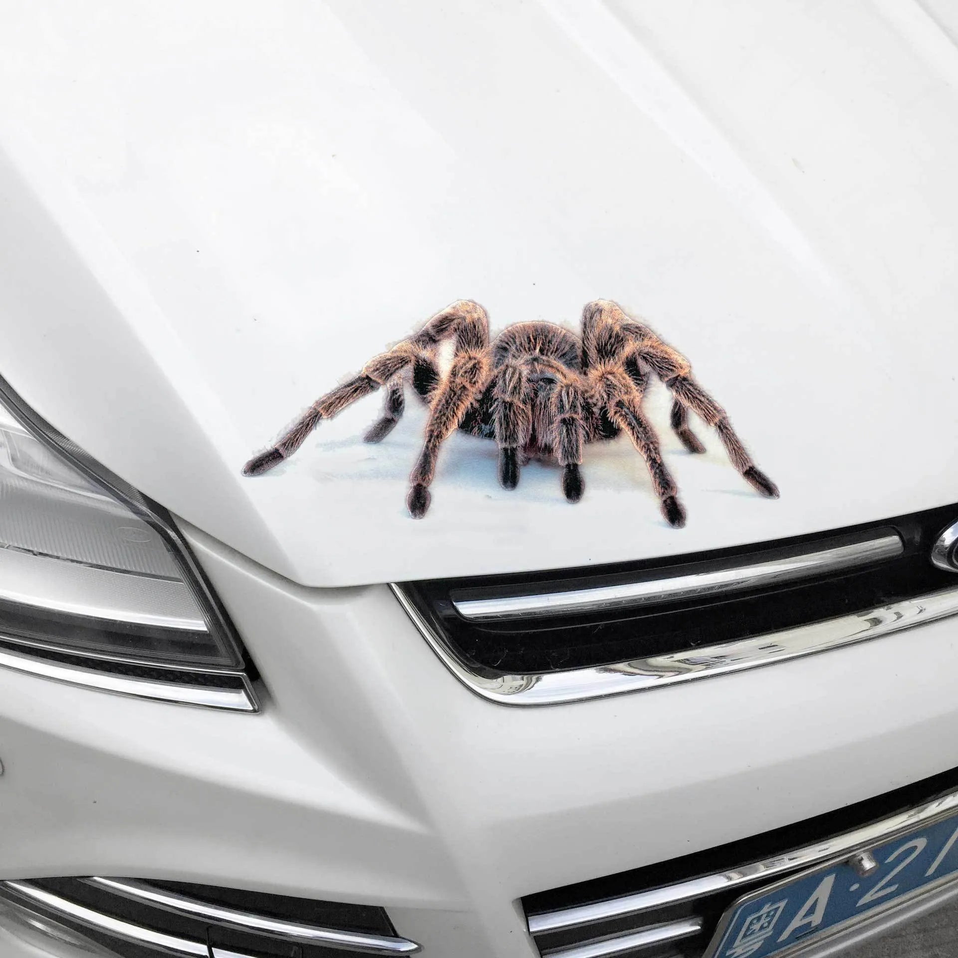 3D simulation matte frosted car sticker with micro-pressure technology showing realistic spider detail on vehicle body