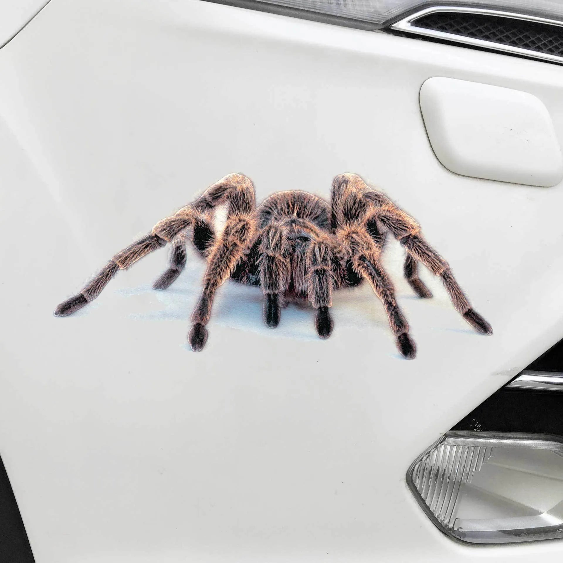 3D simulation matte frosted car sticker with micro-pressure technology showing realistic spider detail on vehicle body