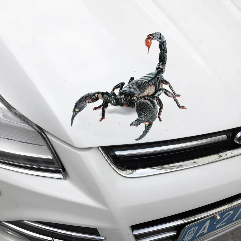 3D simulation matte frosted car sticker with micro-pressure technology showing realistic spider detail on vehicle body