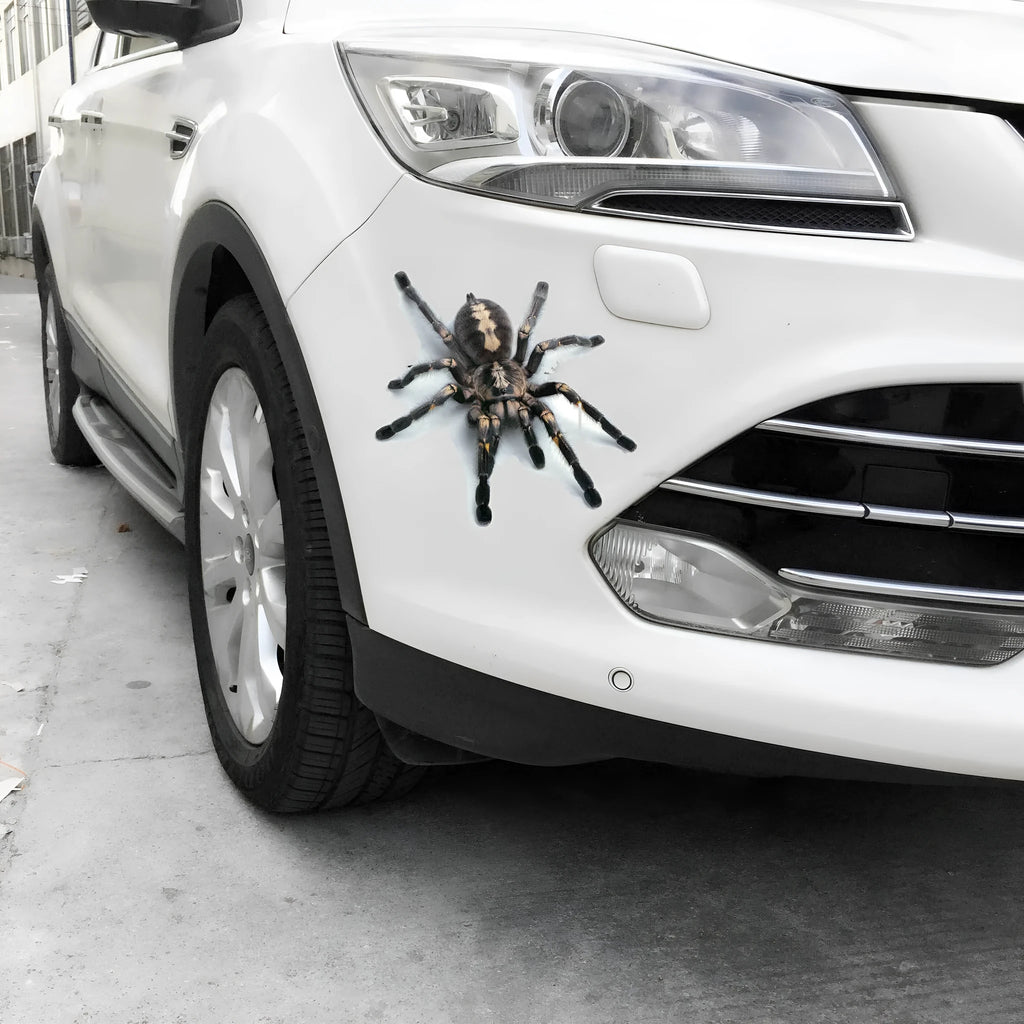 3D simulation matte frosted car sticker with micro-pressure technology showing realistic spider detail on vehicle body