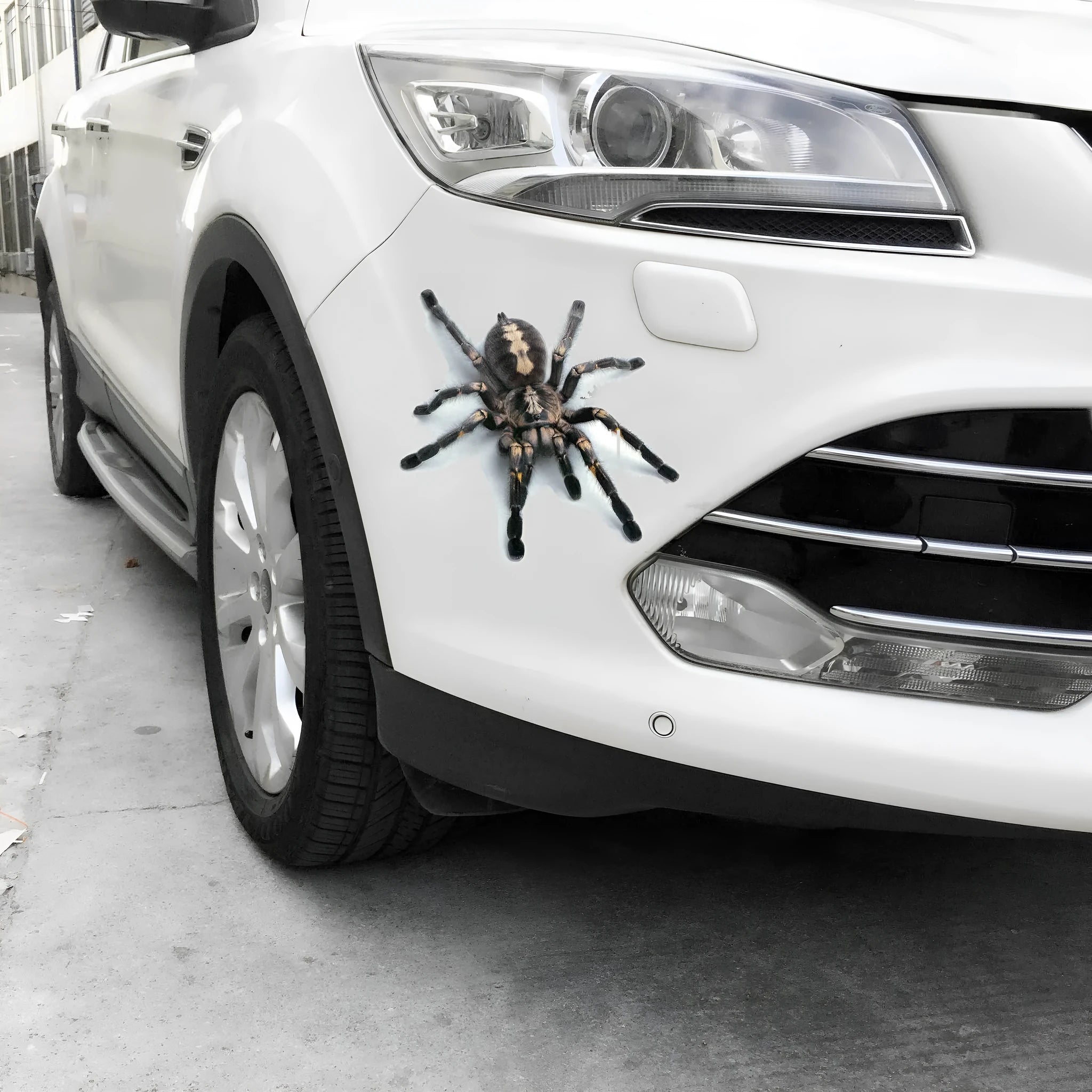 3D simulation matte frosted car sticker with micro-pressure technology showing realistic spider detail on vehicle body