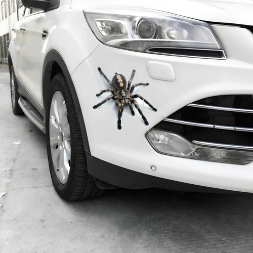 3D simulation matte frosted car sticker with micro-pressure technology showing realistic spider detail on vehicle body