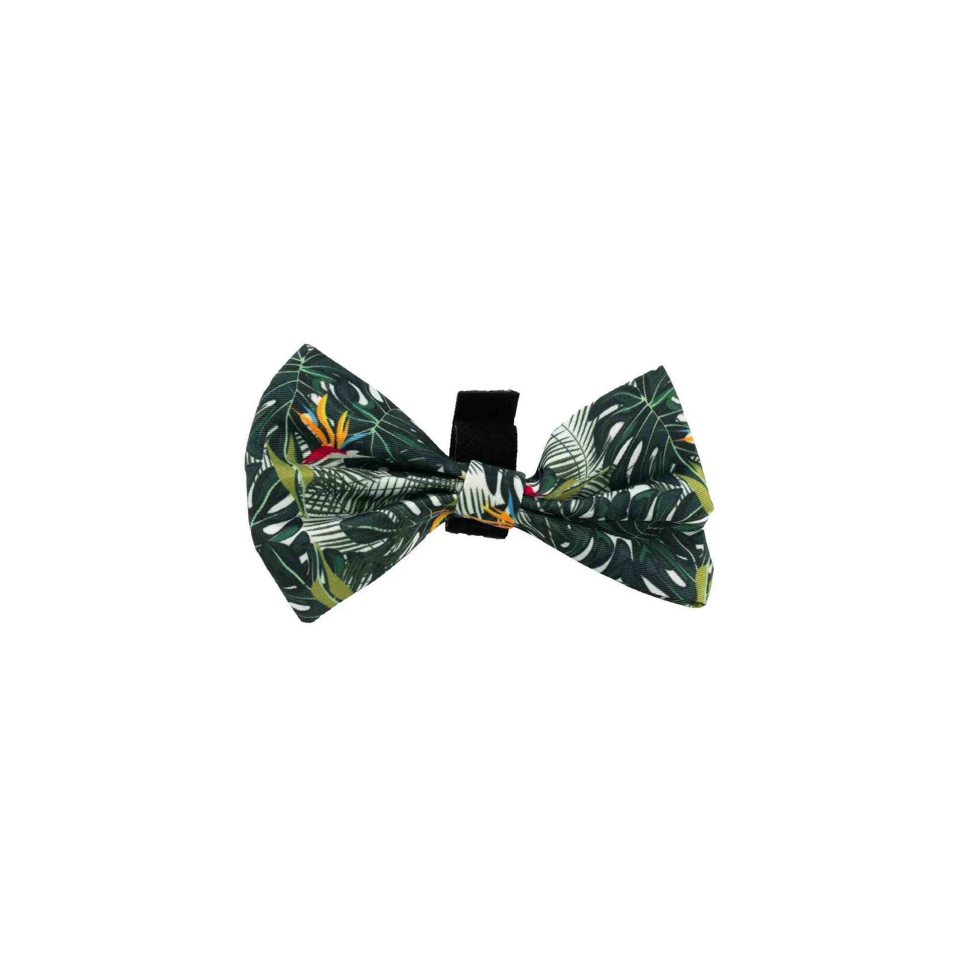 Six-piece adjustable cloth dog harness set with collar, lead, waste bag, bow, and triangular scarf.