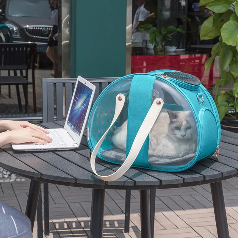 Double Fish transparent PVC pet backpack for small dogs and cats in sky blue with ventilation holes