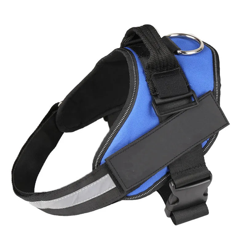Personalised reflective nylon no-pull dog harness vest on a dog, showing adjustable straps and D-ring.