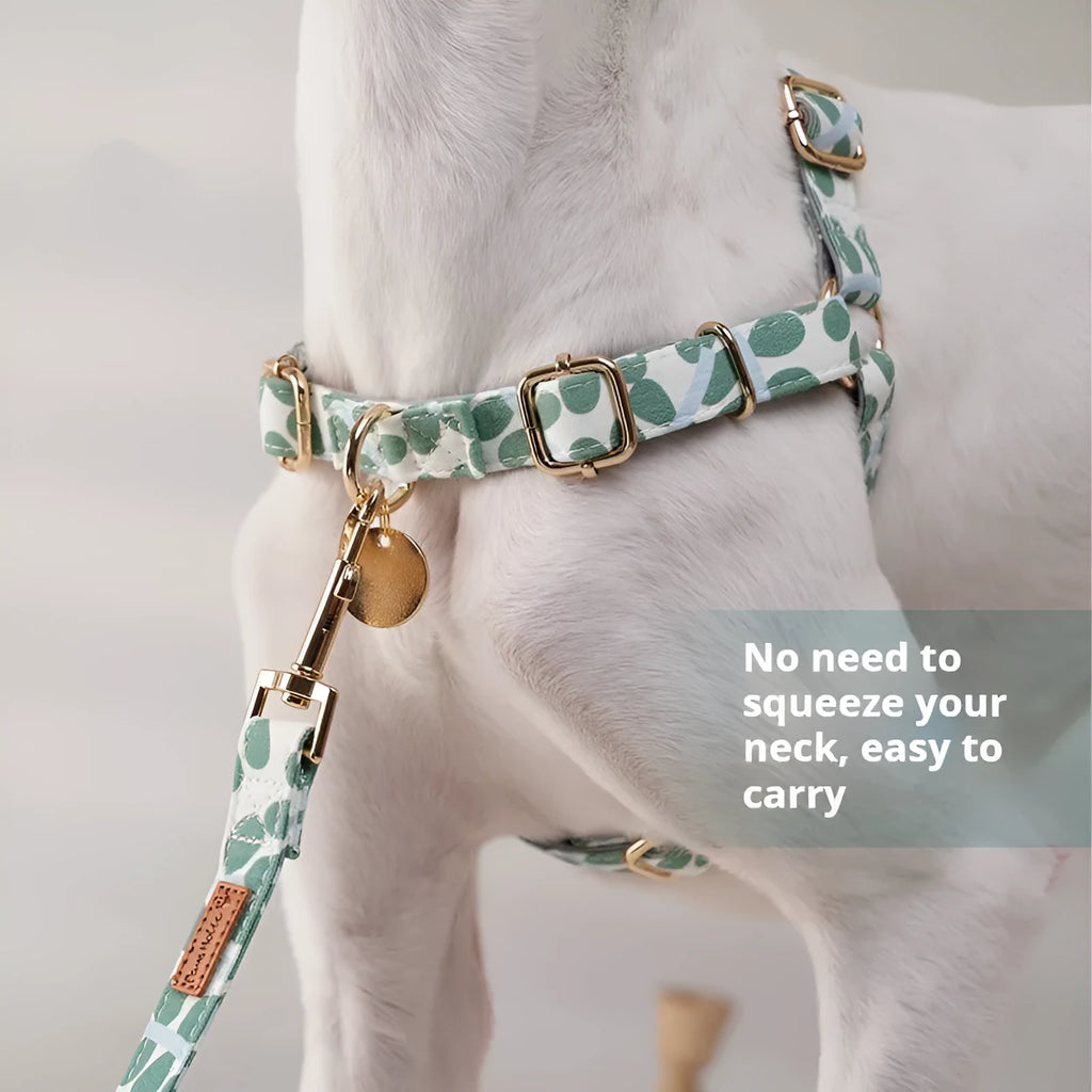 Polyester dog chest strap harness in Early Snow colour with hand-holding rope, side view on floor