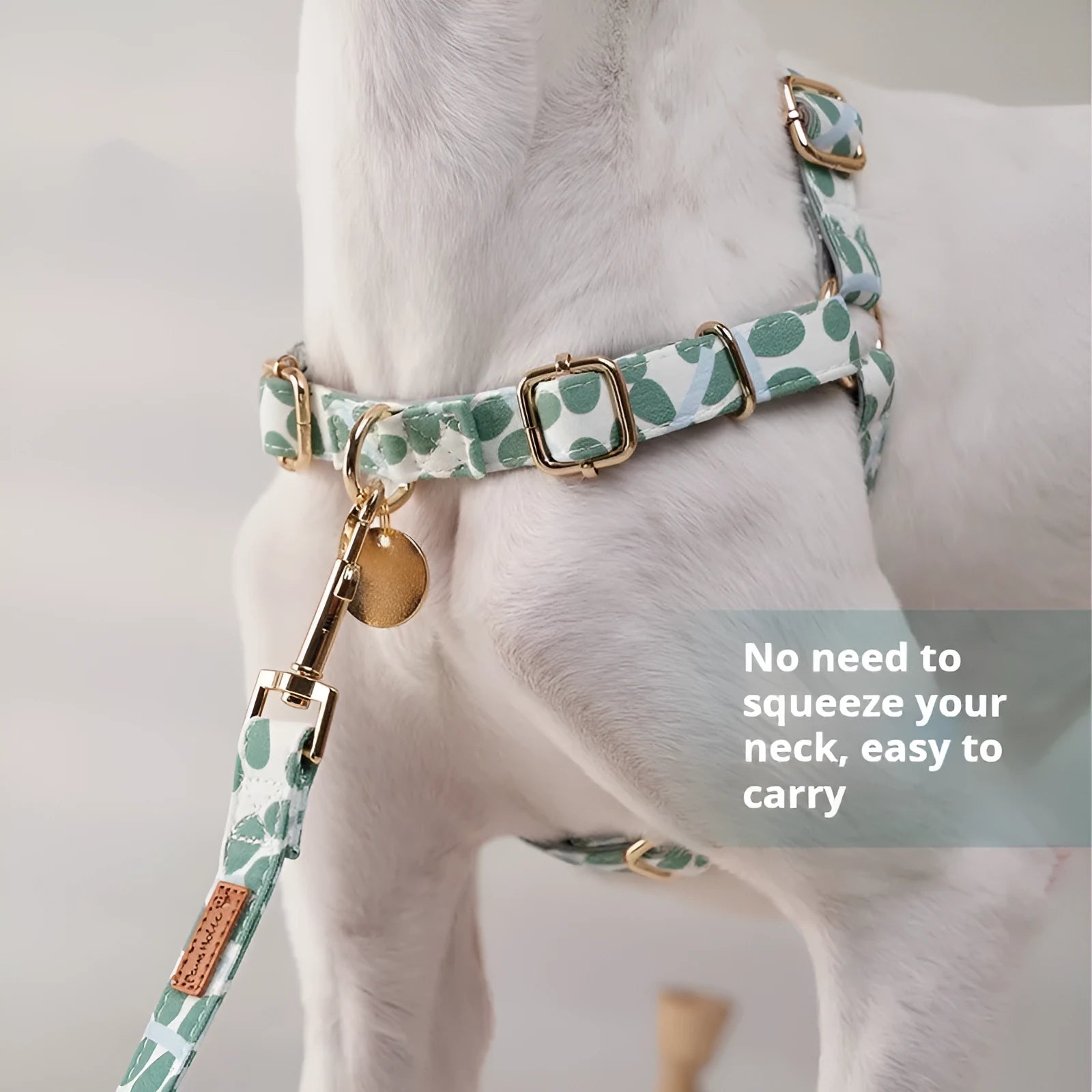 Polyester dog chest strap harness in Early Snow colour with hand-holding rope, side view on floor