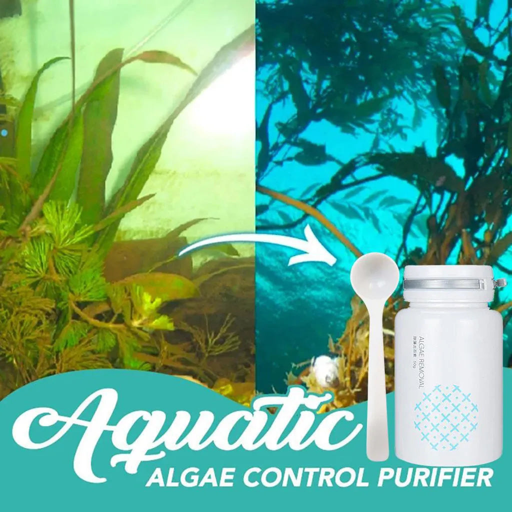50g swimming pool algaecide for algae removal and moss control in aquatic environments