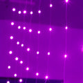 Copper curtain LED string lights with USB power cable in blue, purple, or white.