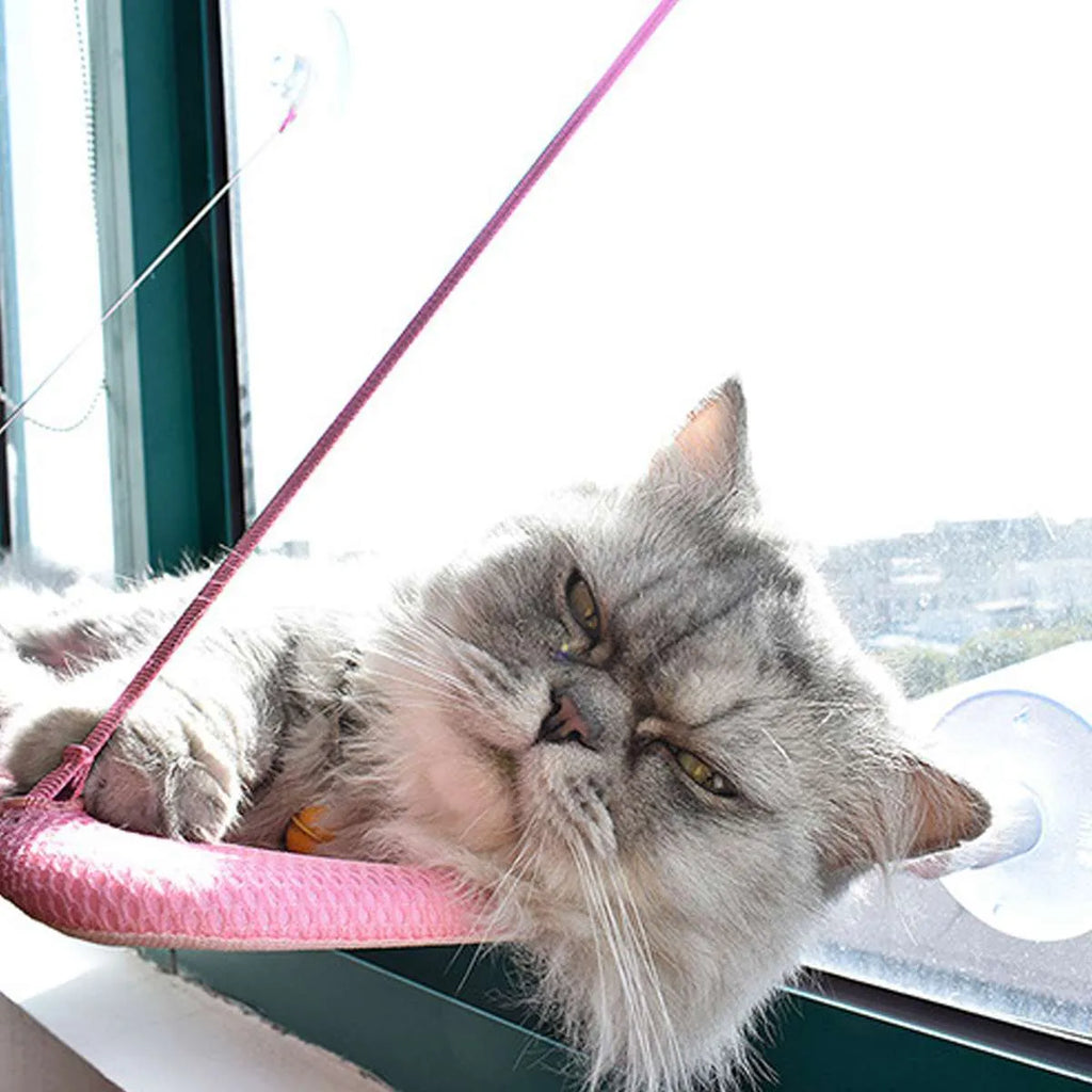 Suction cup cat hammock in cloth and sandwich mesh, 53x32cm, available in Black or Pink