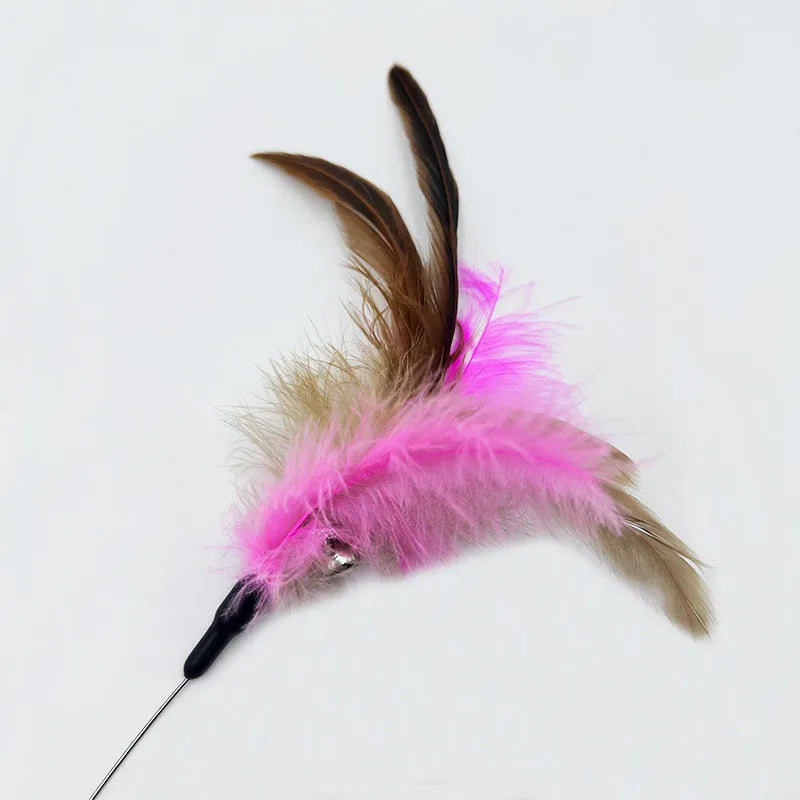 Pink and blue adjustable collar cat teaser toy with feather and bell attachment on a white background