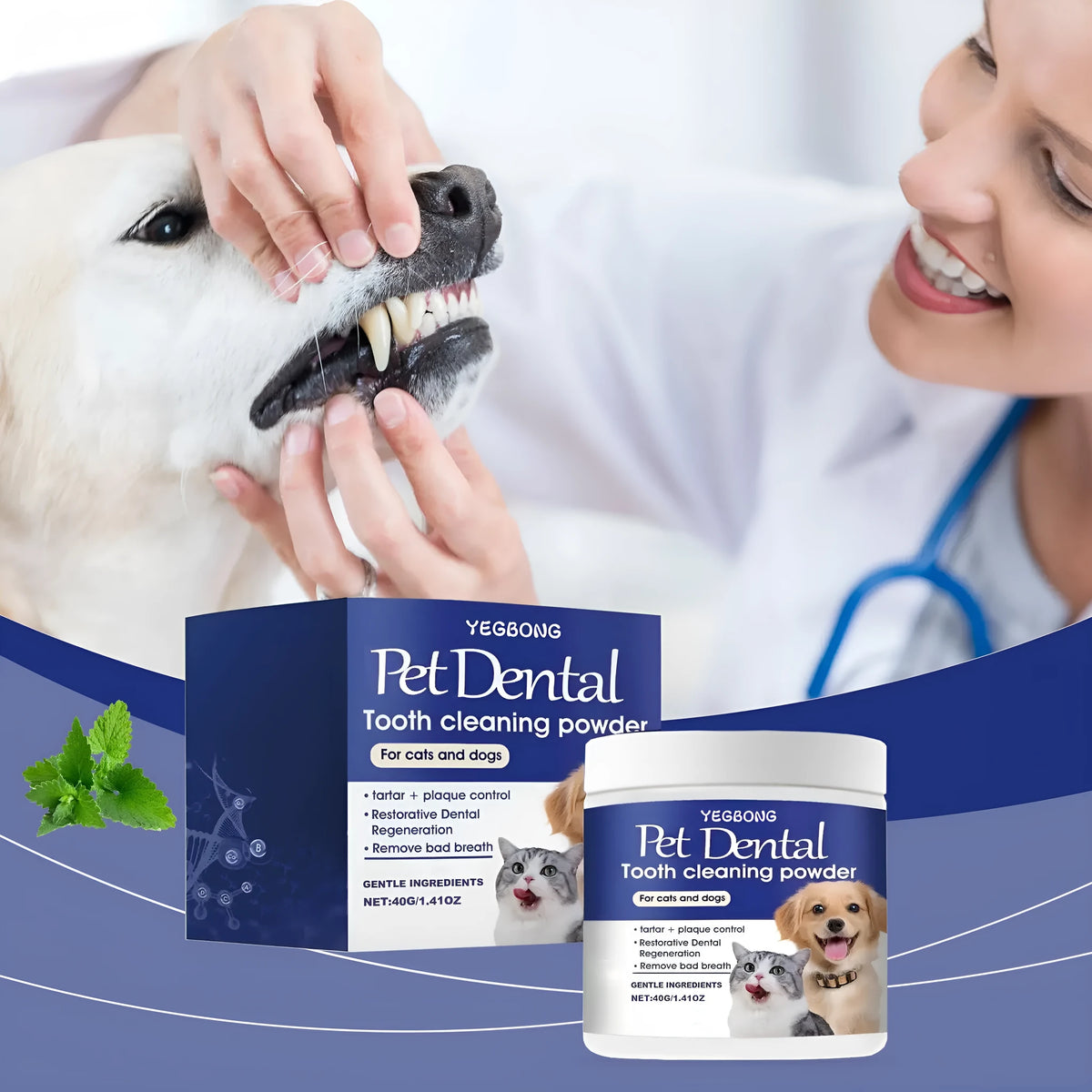 Pet teeth cleaning powder 40g tub with sodium bicarbonate and green tea extract for dog and cat dental care