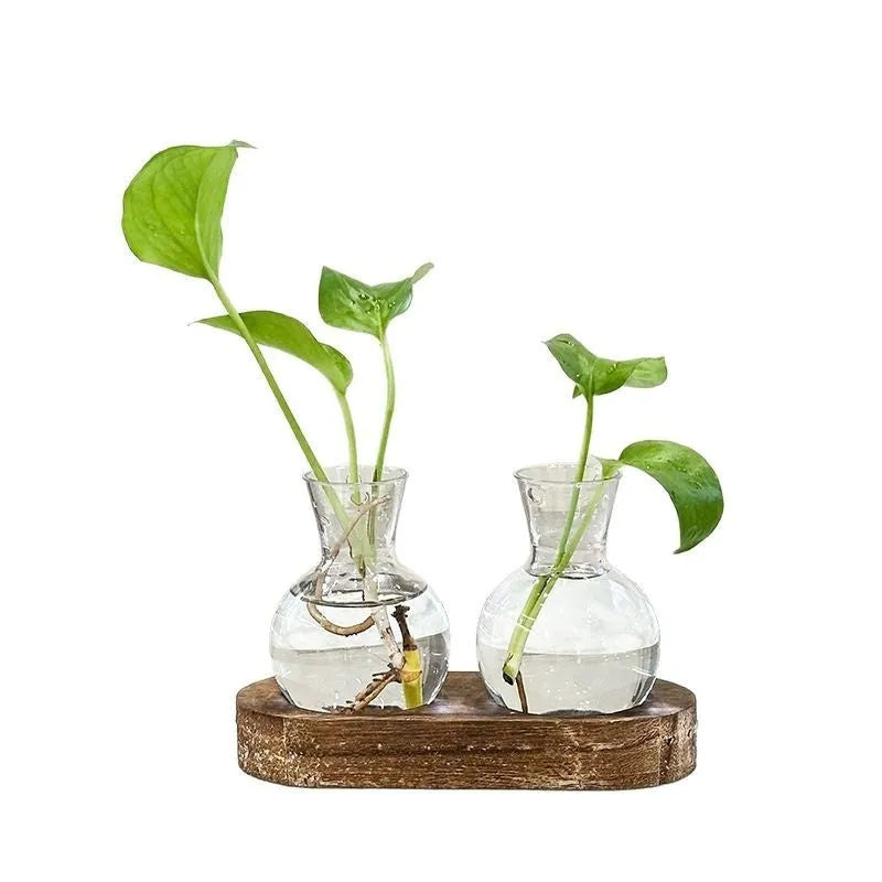 Transparent hydroponic vase in wooden frame for water plant display