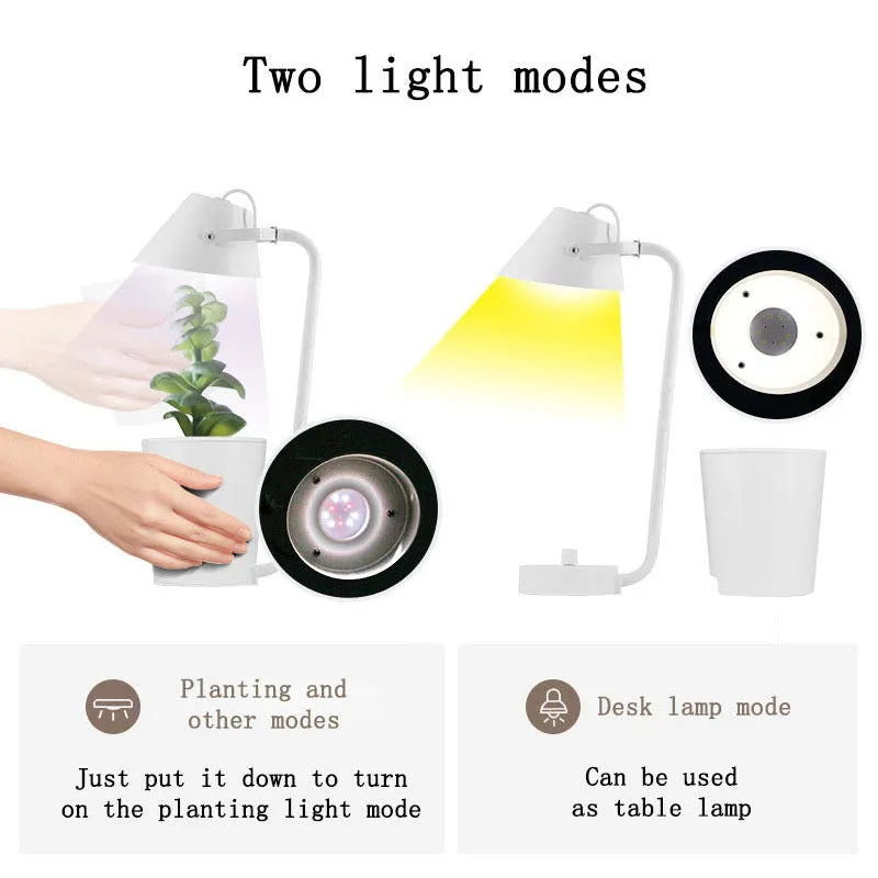 A white plastic hydroponic container for desktop soilless plant cultivation.