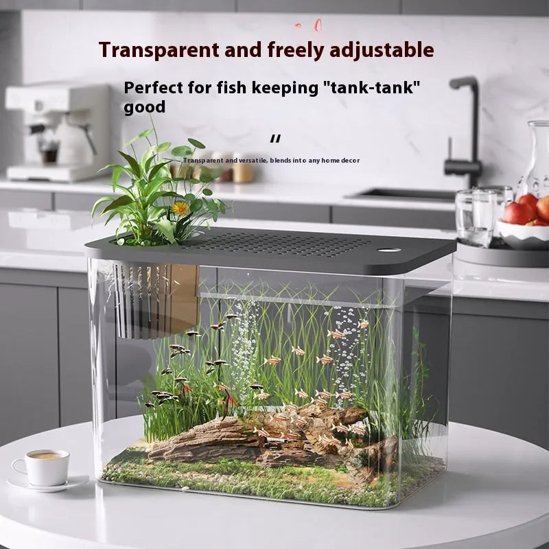 Compact black ecological Betta fish tank with integrated filtration and a fitted plastic cover on a wooden surface.