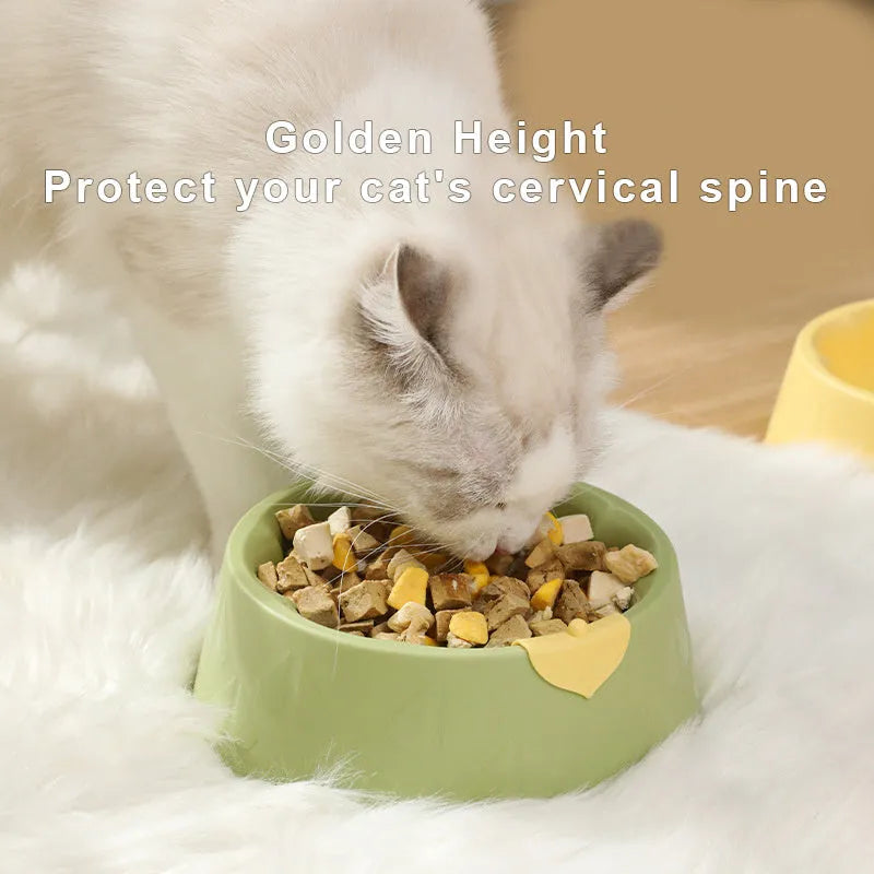 Plastic double pet bowl for cats and small dogs in flower-shaped design