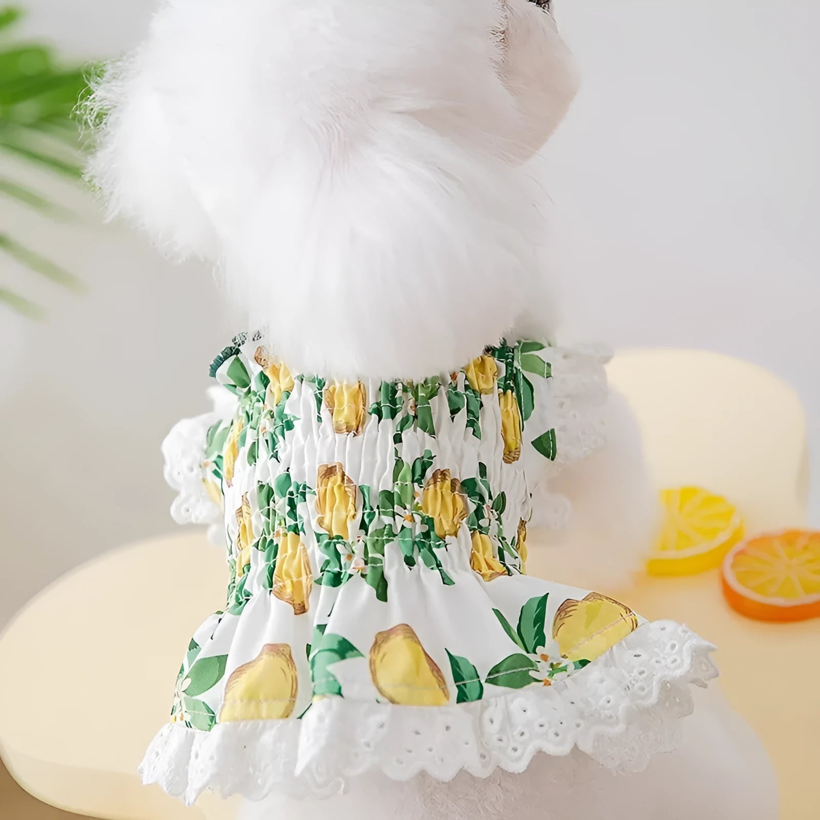 Rock yellow lemon polyester dog dress skirt with adjustable straps on small dog