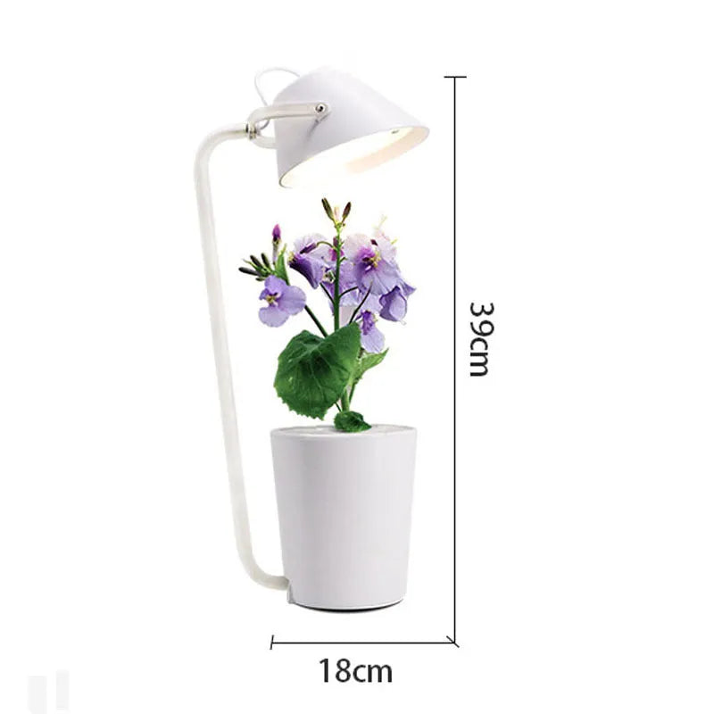 A white plastic hydroponic container for desktop soilless plant cultivation.