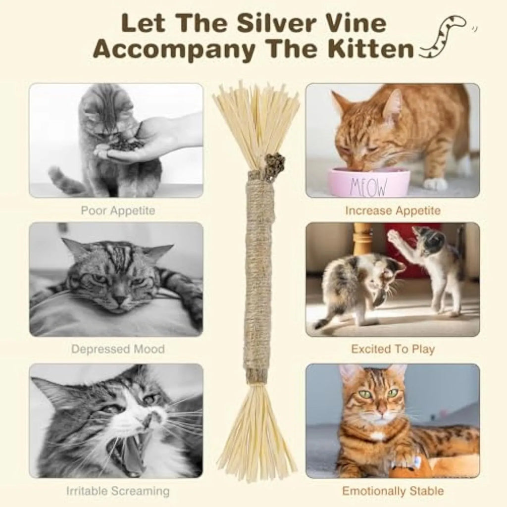 Three natural silvervine chew sticks for cats with sisal rope and raffia dental toy