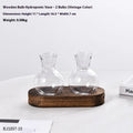 Transparent hydroponic vase in wooden frame for water plant display