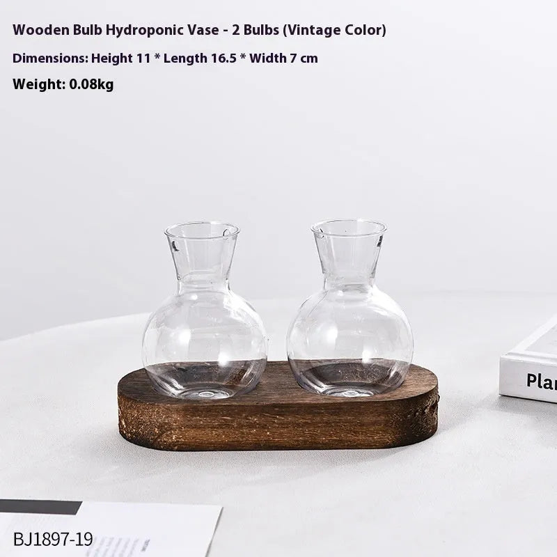 Transparent hydroponic vase in wooden frame for water plant display