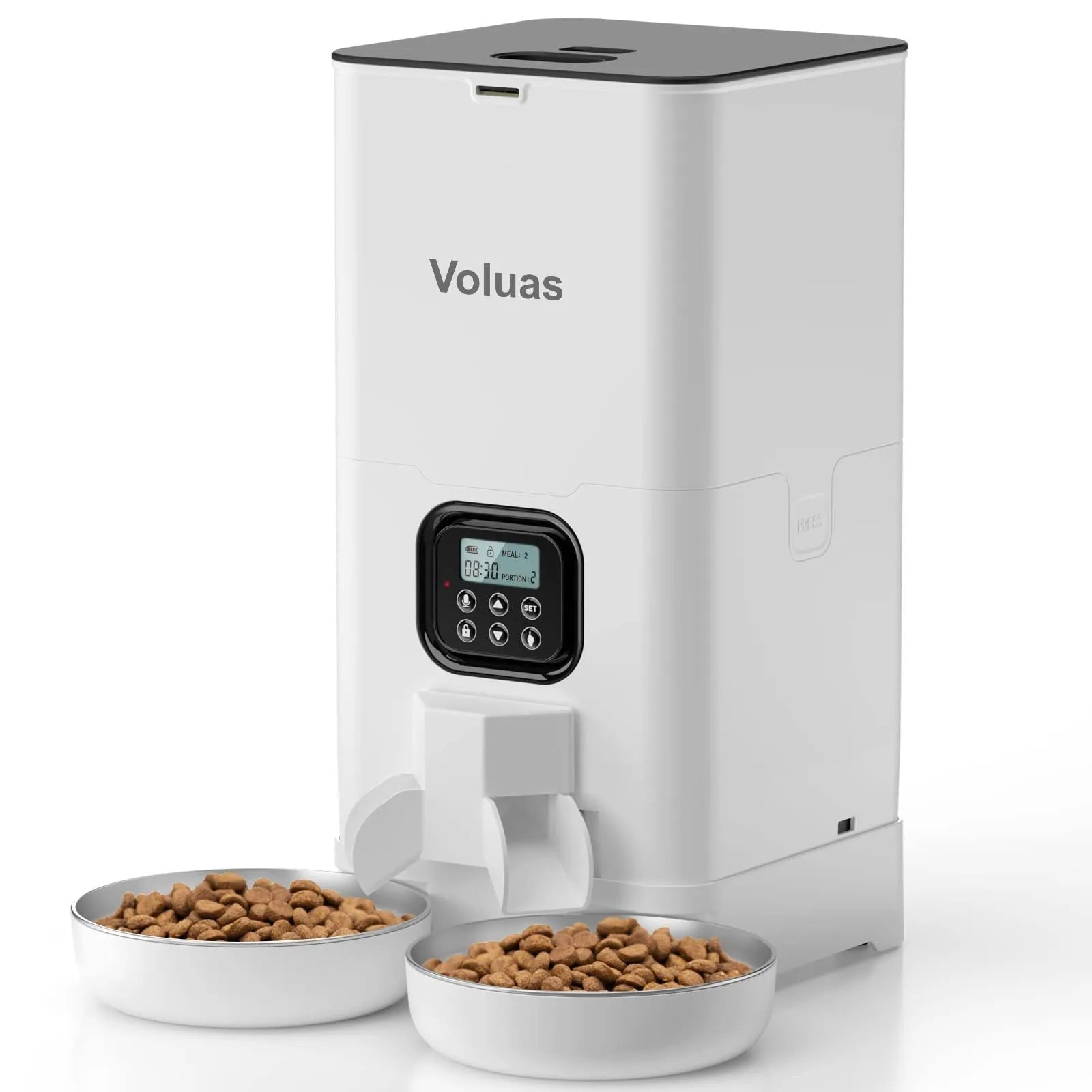 Household pet automatic double meal feeder with stainless steel plate and voice recorder, 4L capacity, black transparent finish