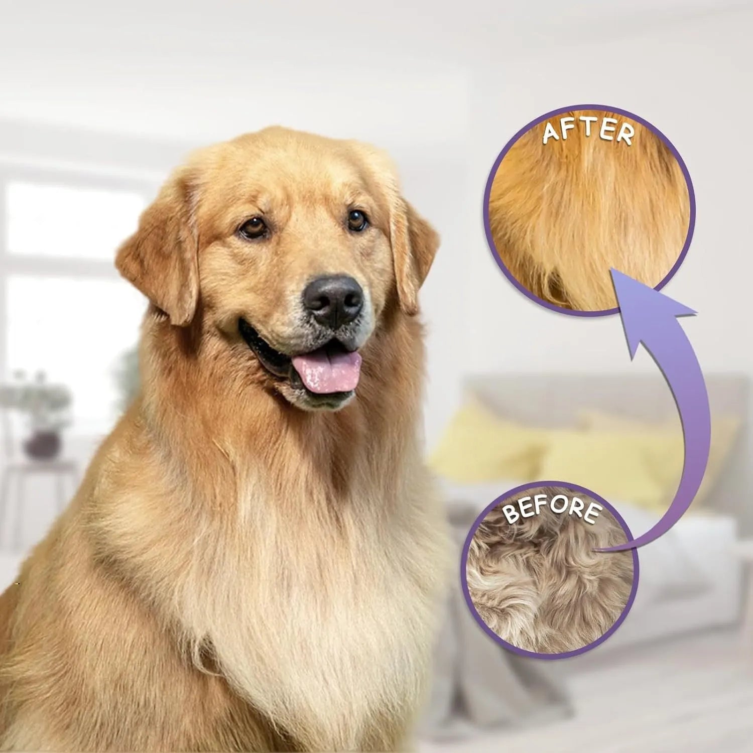 Purple pet detangling comb with stainless steel teeth for dog and cat grooming