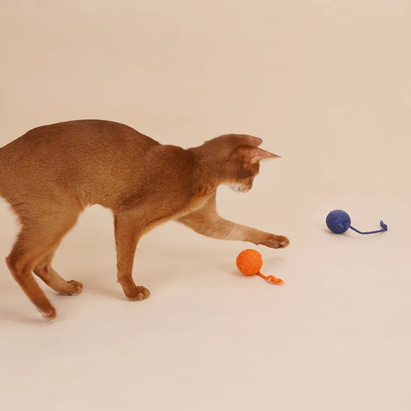 255mm cat teaser stick toy with attached catnip balls in blue, green, and multicolour options