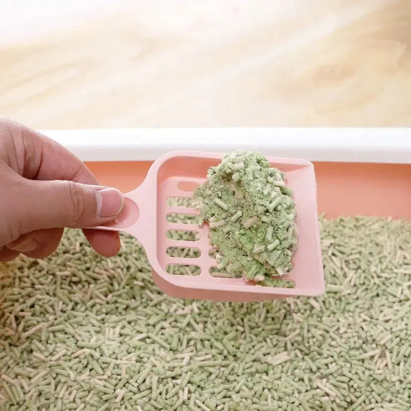 Blue plastic cat litter scoop showing 20cm length and 9cm width for pet tray cleaning