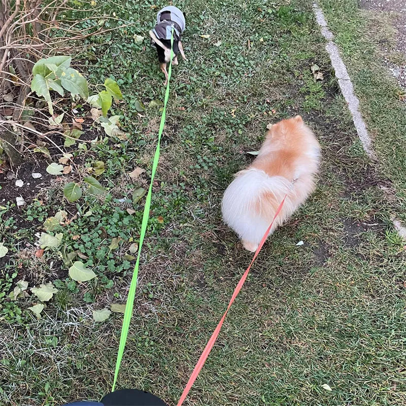 Dual retractable dog leash for small dogs with flashlight, poop bag slot, and 3-metre reflective rope.