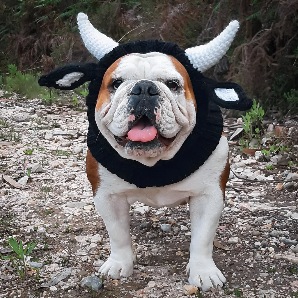 Black Cow knitted acrylic dog hat, thermal windproof jacquard pet hat in sizes S M L for four seasons