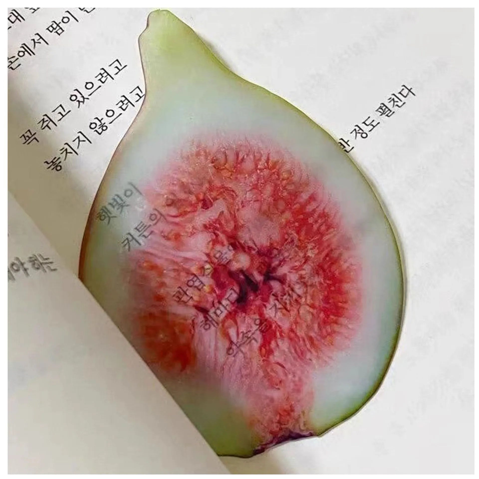 Transparent plastic fruit shaped bookmark with fixed clip, watermelon red colour, 8-10cm size