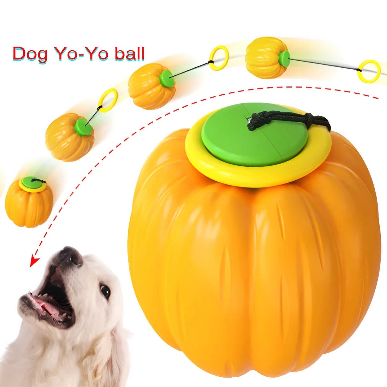 Small orange plastic pumpkin dog ball with squeaker for puppy chewing and training
