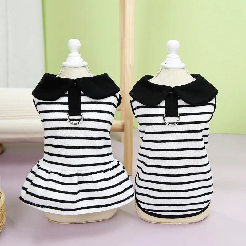 Pet wearing striped cotton t-shirt and matching skirt summer outfit set