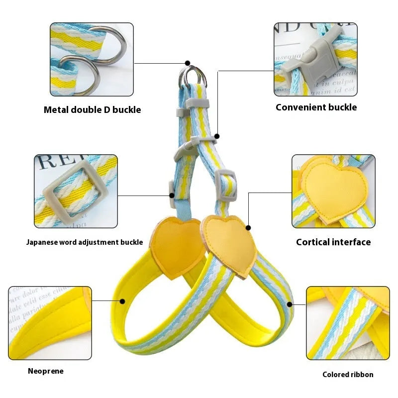 Nylon dog walking harness and leash set in multiple colours with adjustable sizing