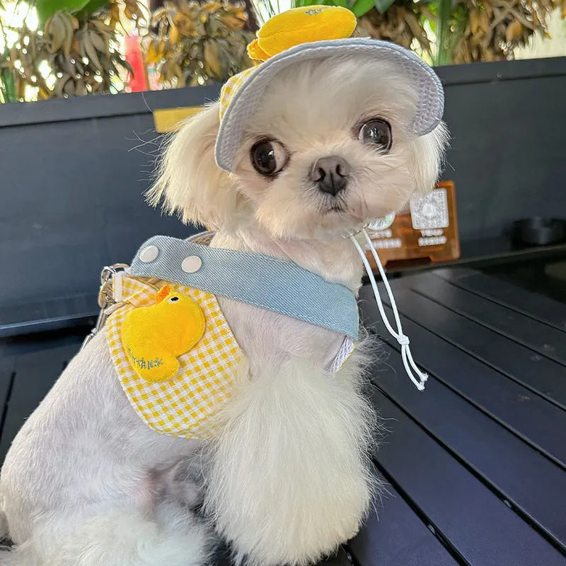 Three-piece pet harness and leash set with matching cute hat for cats and dogs