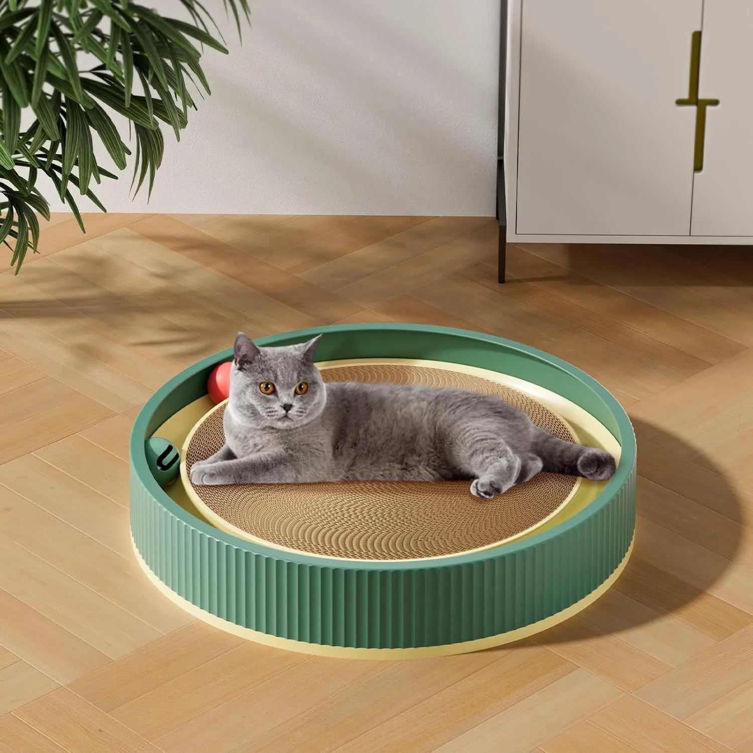 Large green cat scratching board with ball toys measuring 45cm diameter